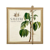 PALO SANTO PERFUME BOTÁNICO SAVITRI